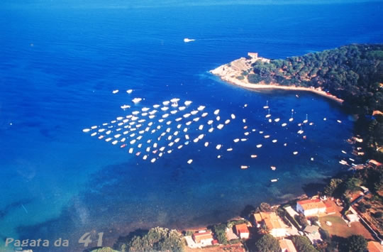 Panoramica campo boe per ormeggio Elba ASDN la Guardiola Procchio